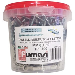 Barattolo 100 Tasselli 6x30 + 100 Viti 6